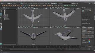 Intro to Rigging - Hummingbird