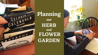 Herb & flower garden (nearly) from scratch