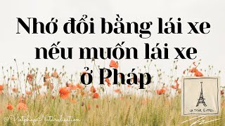 Đơn xin quốc tịch Pháp bị hoãn lại - Lái xe không bằng lái | Quốc tịch Pháp 6