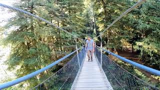 Drift Creek Falls Oregon