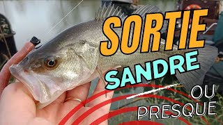 Session sandre qui tourne au bass