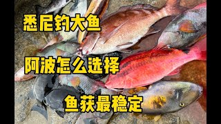 澳洲钓大鱼 【矶钓阿波】怎么选择 如何配比 渔获最稳定 【干货分享】#黑毛鱼 #澳洲生活