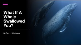 What if A Whale Swallowed You? | Sachith Methsara | How Series? | Video #9