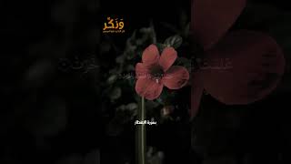 سورة الانفطار الآيات من 1 إلى 9 بصوت القارئ ماهر المعيقلي #حالات واتس  #quran #shorts