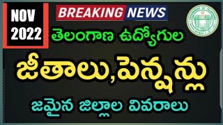 Telangana Govt Employees Salaries & Pensioners pension latest update ||TS Salaries|| November 2,2022