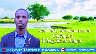 ABWAAN CABDI MAXAMED CALI GABAY JIIB AH