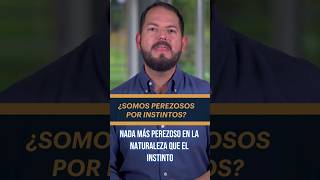 ¿Eres Perezoso? Si Es Así, Debes Ver Este Video