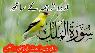 🔴 SURAH MULK LIVE WITH URDU TRANSLATION