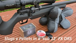 FX DRS Sub 12 ft-lbs, Pellets V Slugs at 50 metres