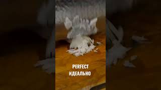 Лук в салат. Великолепная быстрая нарезка #shorts #cutting #цайдао