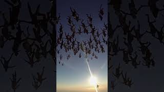 Record Setting 164 Person Parachute Jump