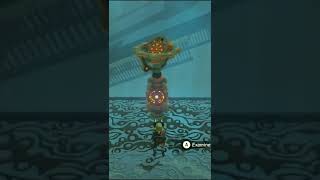 Does anyone do this the intended way? 🤔 -Botw