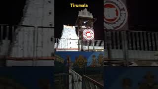 Tirumala temple #shorts