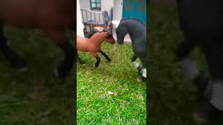 #schleichhorse