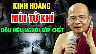 KINH HOÀNG! Mùi TỬ KHÍ - Dấu Hiệu Của Người Sắp CH.ẾT (sợ quá)| Sư Toại Khanh - Sư Giác Nguyên Giảng