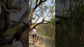 Bacha Ka Patang Bhutiya Jungle Mein Chala Gaya 🪁 #kiteflying #kite #patangbazi #patang #shorts