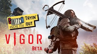 Tryin' Out- Vigor Beta- Who is this for?