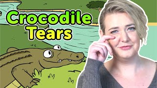 Crocodile Tears | Bedtime Stories | Story time | Made by Red Cat Reading