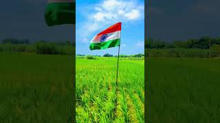 Tiranga #india #indiapictures #indian #jaihindjaibharat #bharatmata #trendingreels#viralvideos