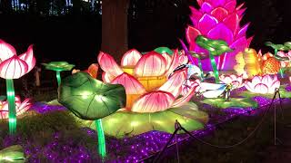 A display at the Asian Lantern Festival