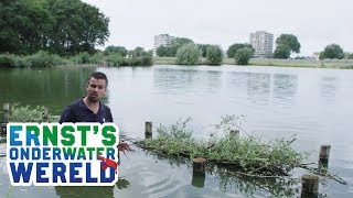 Vis zoekt SCHUILPLEK #18 Ernst's OnderWaterWereld