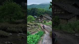 Beautiful Nature in the Village #youtubeshorts #village #villagelife