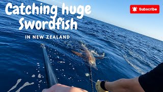 Catching huge Swordfish in New Zealand