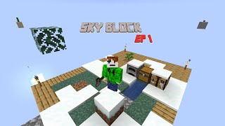 MINECRAFT SKYBLOCK! Ep 1 The start.