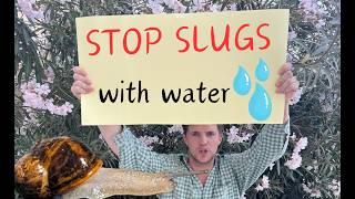 How to get rid of Slugs and Snails eating your potted plants in the Garden- the Water trick