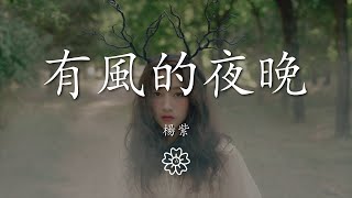 楊紫 - 有風的夜晚『十八點四十分 站在馬路對面』【動態歌詞Lyrics】