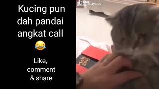 Kucing angkat call 🙀 cute!