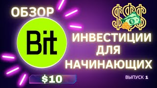 ⚠️| BITDAO | BIT | Криптовалюта: Инвестиции для начинающих |