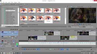 Sony Vegas || Effect #105