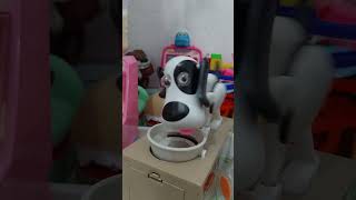 ASMR Feeding Hungry Dog #shorts