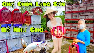 Toàn Cảnh Nơi Họp Chợ Chim Cảnh Lạng Sơn Phiên 22 Chợ Đông Như Kiến Chim Đi Như Gió