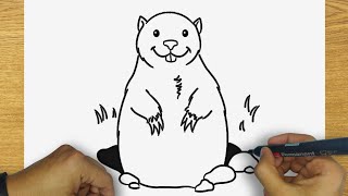 HOW TO DRAW A GROUNDHOG | STEP BY STEP | DRAWING GROUNDHOG EASY