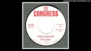 Elgins, The - Here In Your Arms - 1964