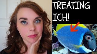 HOW TO TREAT ICH | Hyposalinity Explained!