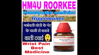 Hippomanes //Best  Homoeopathic Medicine For Wrist Pain //हिप्पोमैंनस// कलाई का दर्द //HM4U Roorkee.