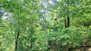 A View from One of the Platforms at Screaming Eagle Ziplining at Lake Guntersville State Park