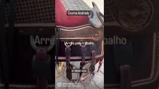 Arreio Campos com Bolso assento Macio - Arreio para Trabalho/Serviço Completo