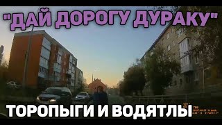 Автоподборка "Дай Дорогу Дураку"🛑Торопыги и Водятлы#307