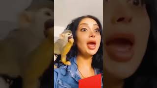 TRY NOT to LAUGH Animals FUNNY PET FAILS😂😂 Compilation #shorts