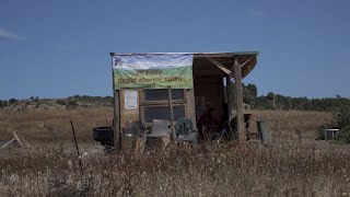 Arte In Campagna a Sa Barracca de su Padru Selargius