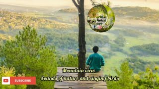 Mountain views|Nature sounds|Relaxation| Bird Sounds and Water Sounds