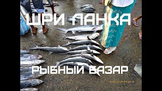 РЫБНЫЙ БАЗАР ШРИ ЛАНКА/Покупаем рыбу на базаре/