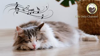 Music for Cats - Relaxing Harp Music, Sleep Music, Peaceful Music, Stress Relief