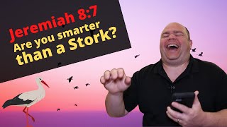 Jeremiah 8: 7  Are You Smarter than a Stork?