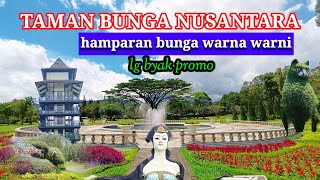 TAMAN BUNGA NUSANTARA