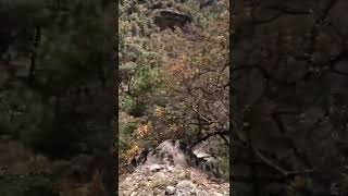 RECORRIDO A LAS AGUAS TERMALES DE RECOWATA, URIQUE, CHIHUAHUA, UN LUGAR MÁGICO (HOLGUIN & IBARRA)